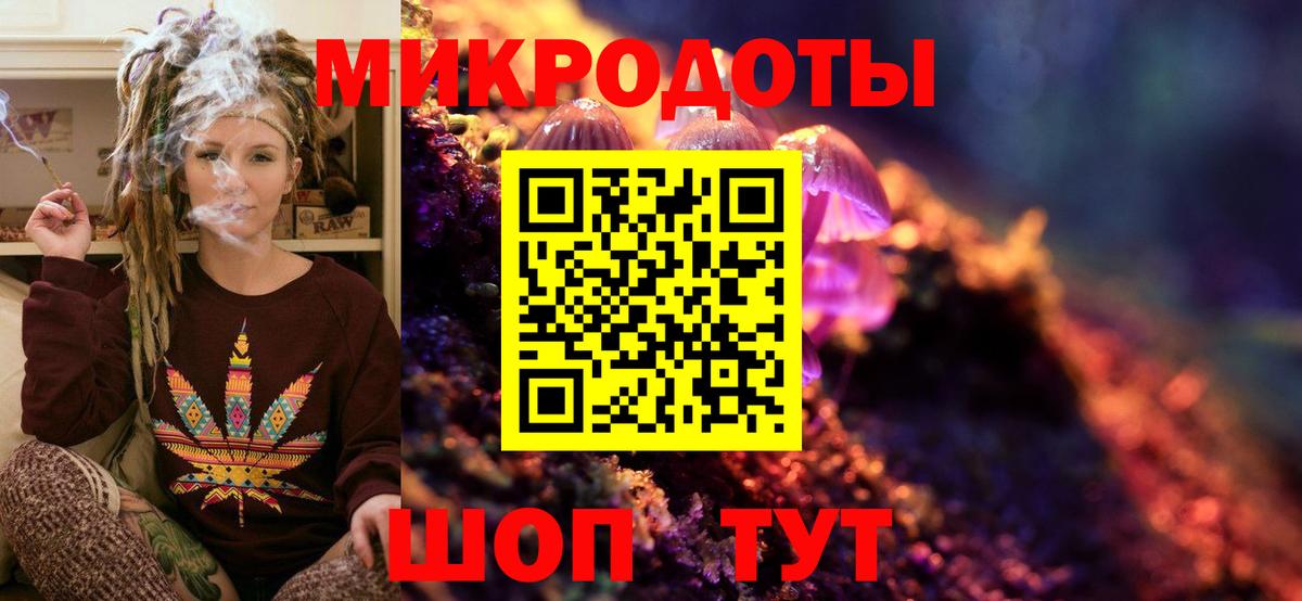 Псилоцибиновые грибы Psilocybine cubensis Назарово