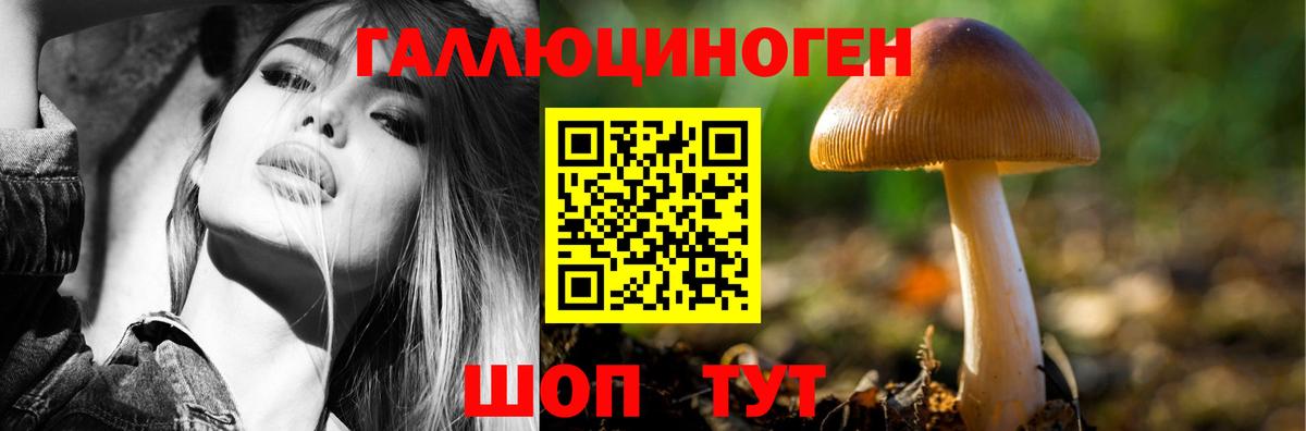 Галлюциногенные грибы Psilocybe  Псилоцибиновые грибы мухоморы  Назарово  где продают   Вход с VPN 